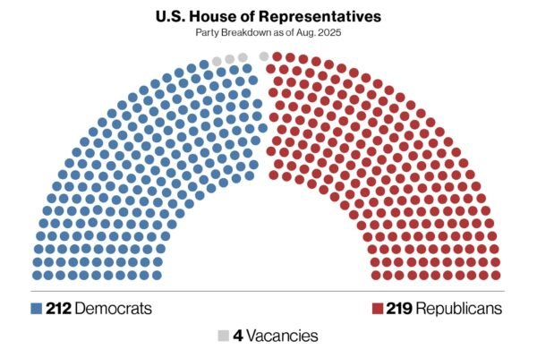 Redistribution of Texas districts: What is at stake as Republicans aim to collect 5 seats in the house?